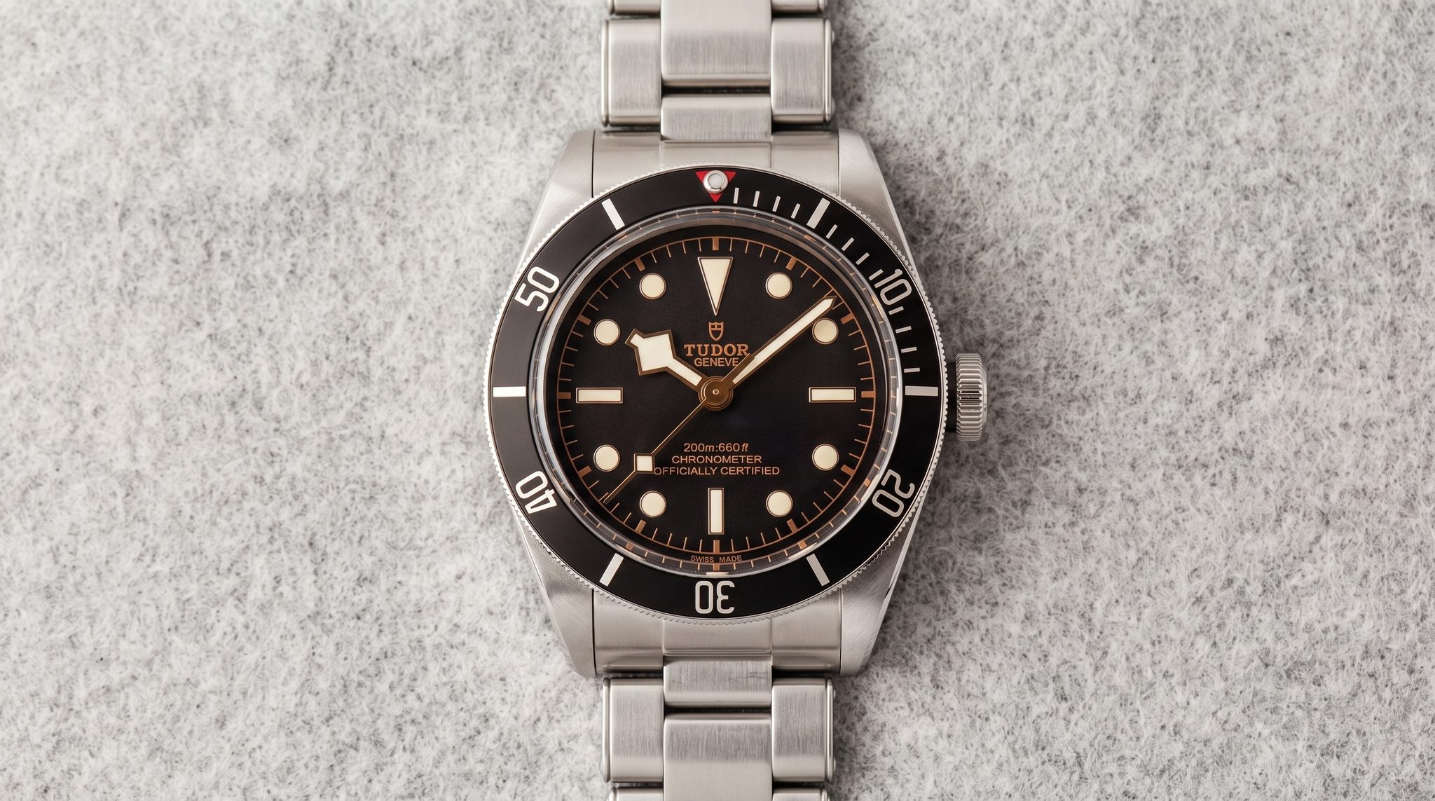 Tudor Black Bay 79230N